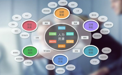 企業管理軟件與咨詢 雙輪驅動，賦能企業數字化轉型